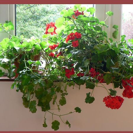 Annabella Lodge B&B Mallow Εξωτερικό φωτογραφία